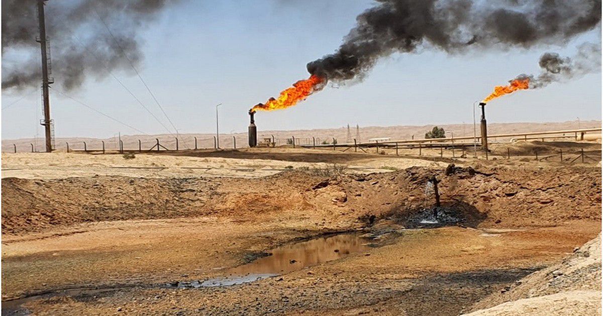 إعداد وتنفيذ خطط المعالجة وإعادة التأهيل البيئي للمواقع الملوّثة